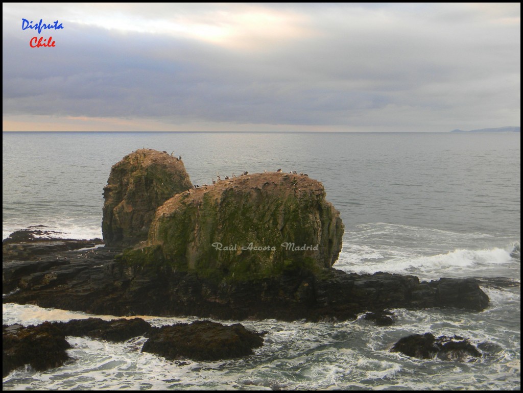 Foto de Punta de Lobos (Libertador General Bernardo OʼHiggins), Chile