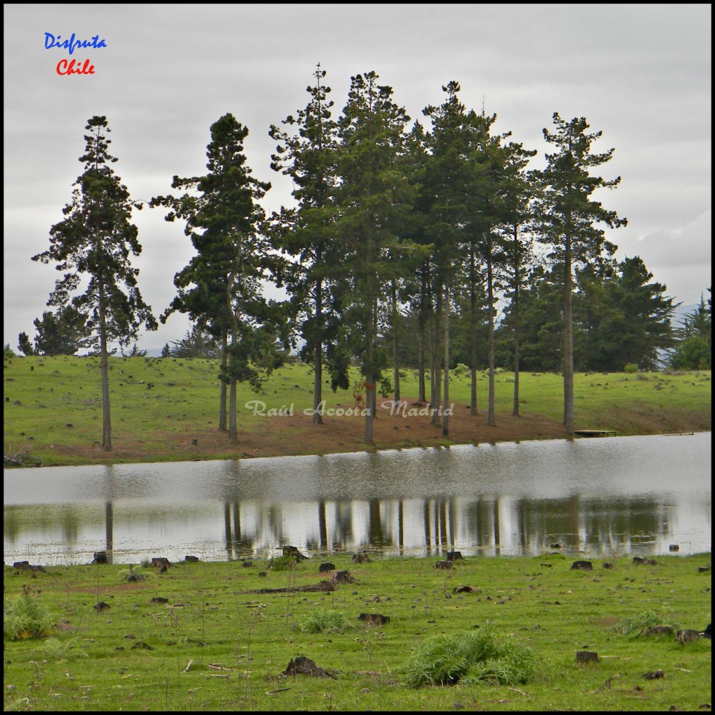 Foto de Pichilemu (Libertador General Bernardo OʼHiggins), Chile