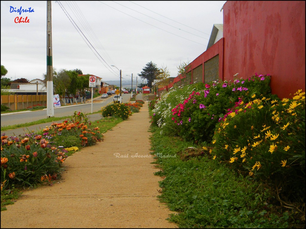 Foto de Pichilemu (Libertador General Bernardo OʼHiggins), Chile