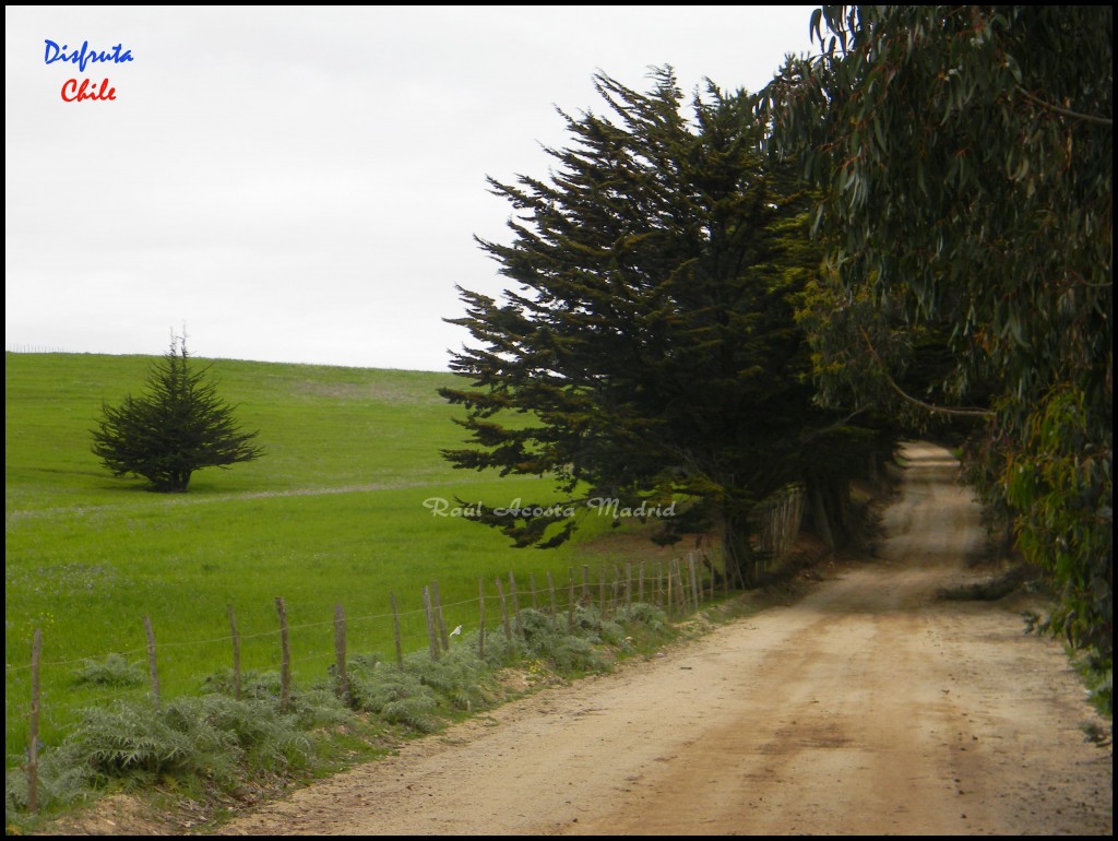 Foto de Pichilemu (Libertador General Bernardo OʼHiggins), Chile