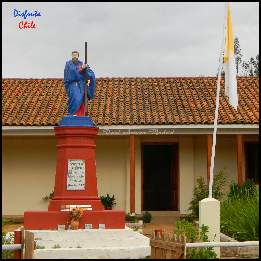 Foto de Pichilemu (Libertador General Bernardo OʼHiggins), Chile