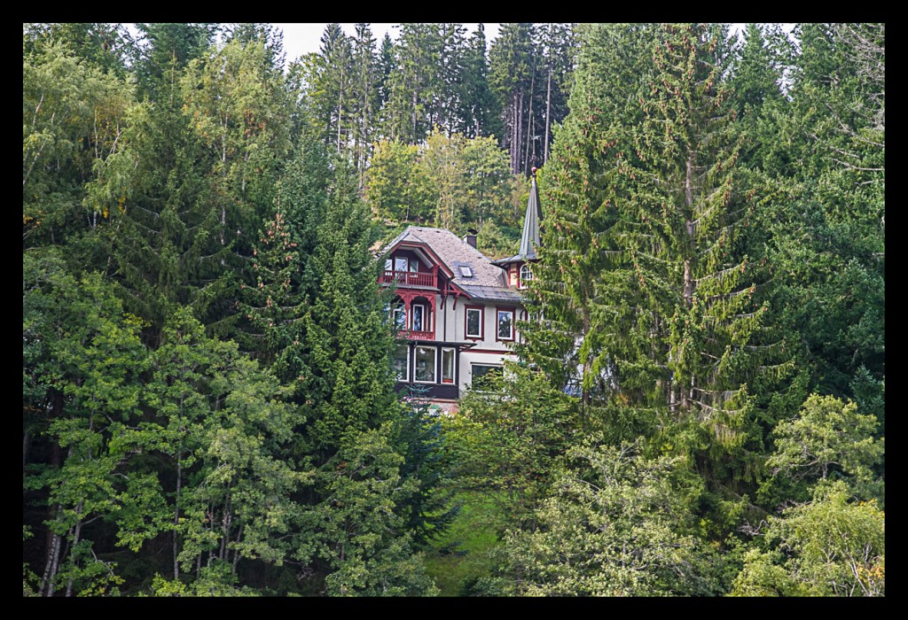 Foto de Lago Titisee (Baden-Württemberg), Alemania