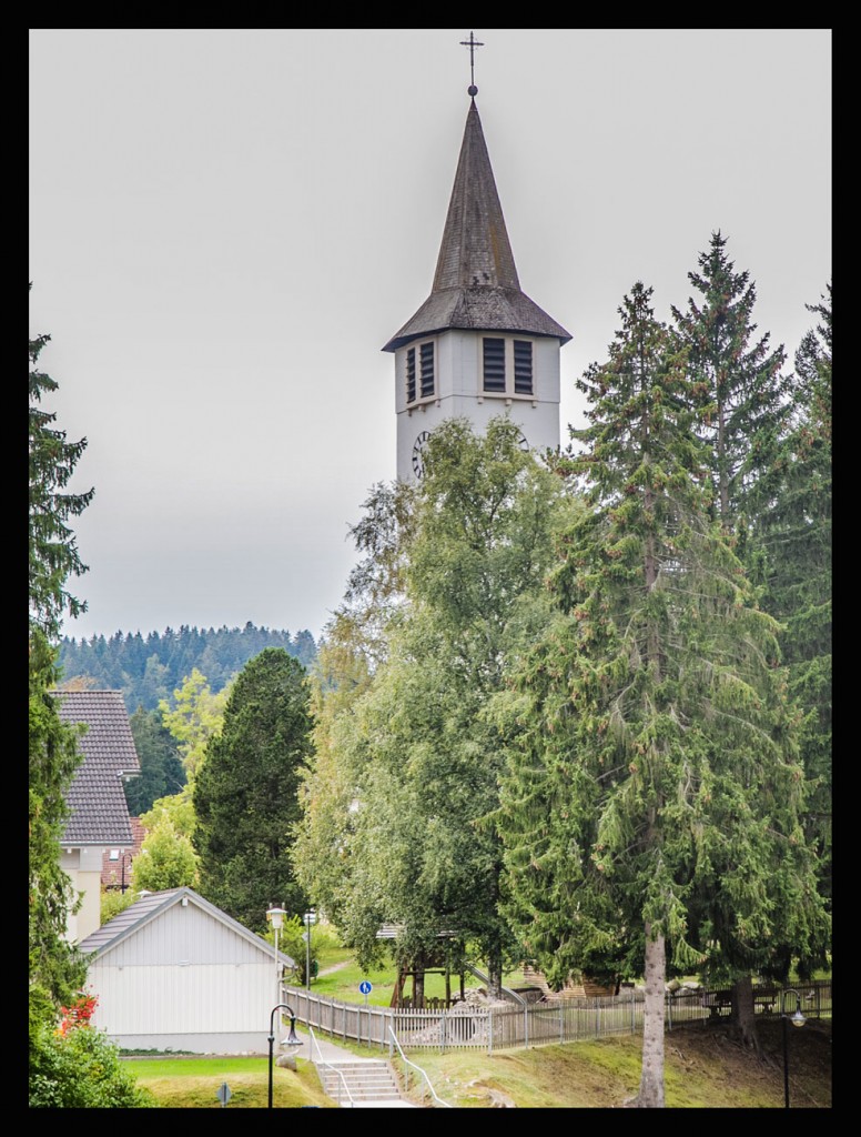 Foto de Lago Titisee (Baden-Württemberg), Alemania