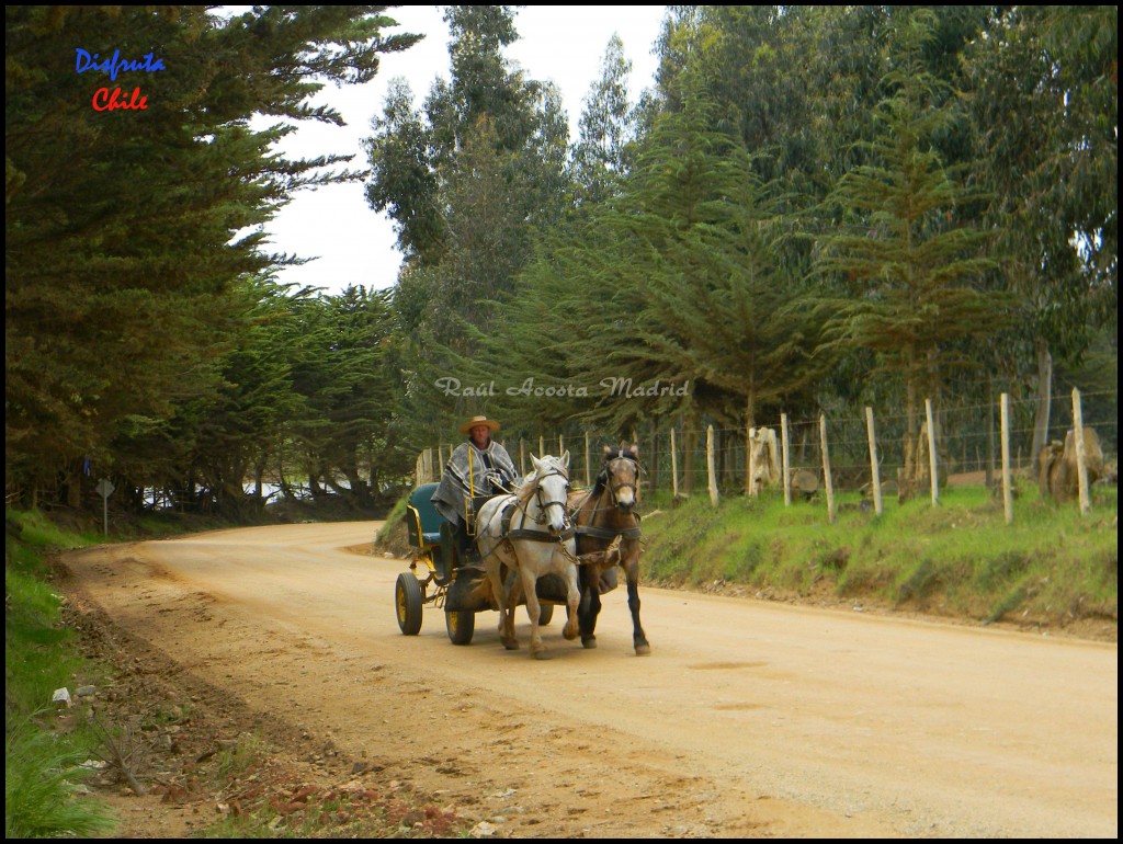 Foto de Pichilemu (Libertador General Bernardo OʼHiggins), Chile