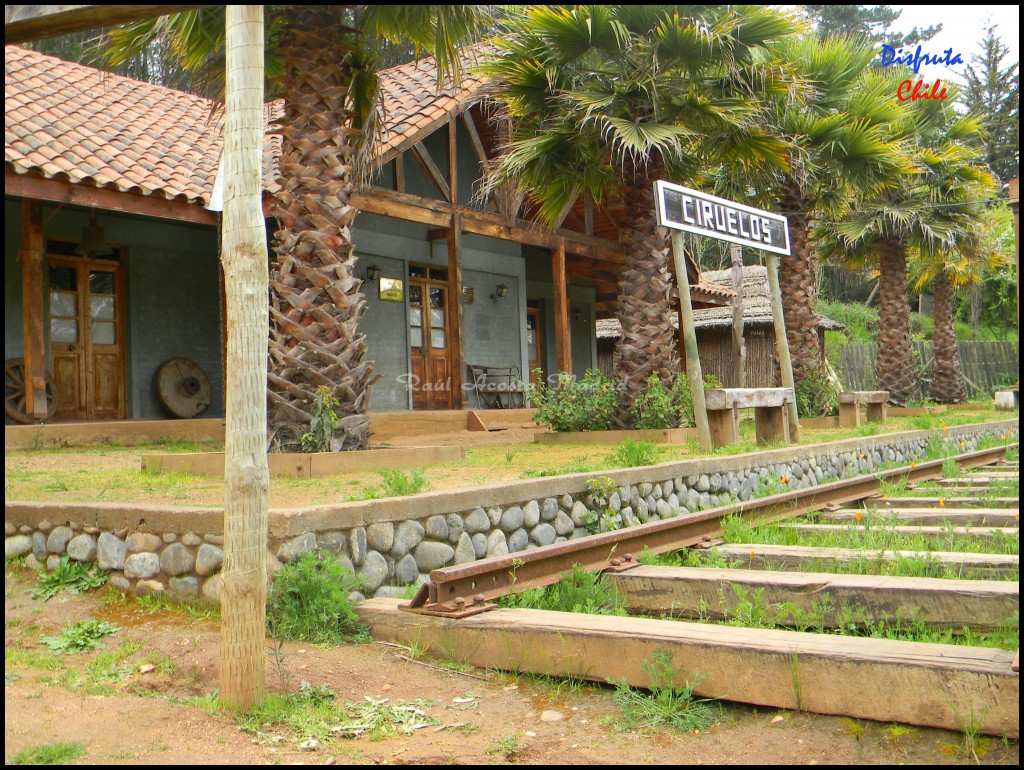 Foto de Pichilemu (Libertador General Bernardo OʼHiggins), Chile