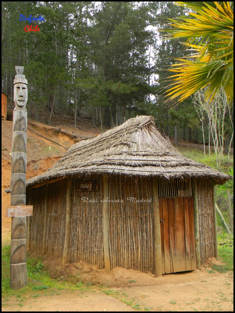 Foto de Pichilemu (Libertador General Bernardo OʼHiggins), Chile