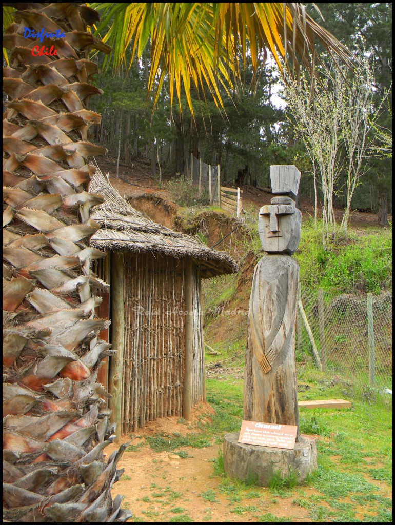 Foto de Pichilemu (Libertador General Bernardo OʼHiggins), Chile