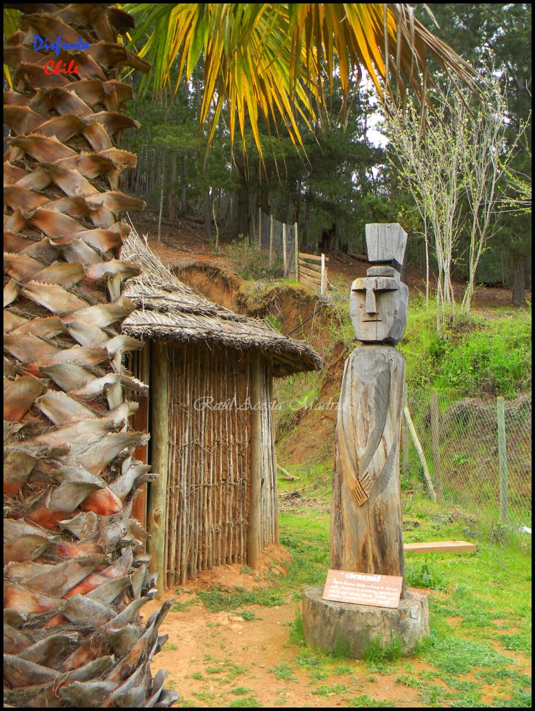 Foto de Los Ciruelos (Libertador General Bernardo OʼHiggins), Chile