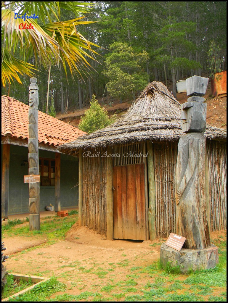 Foto de Los Ciruelos (Libertador General Bernardo OʼHiggins), Chile