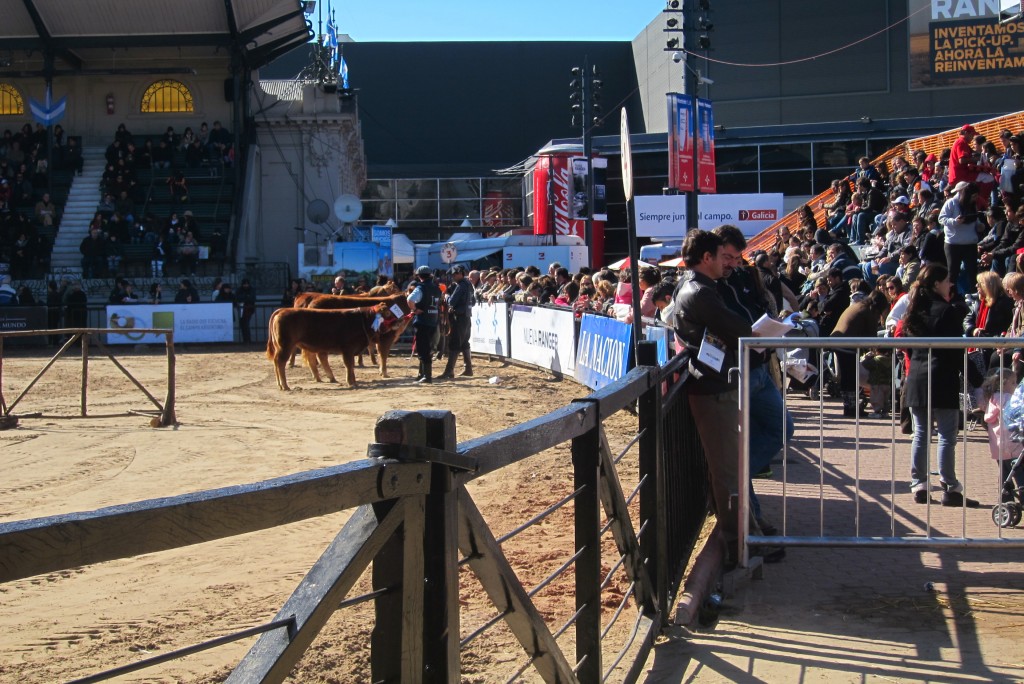 Foto: 126° Exposición de Ganadería, Agricultura e Industria Internacional. - Ciudad Autónoma de Buenos Aires (Buenos Aires), Argentina