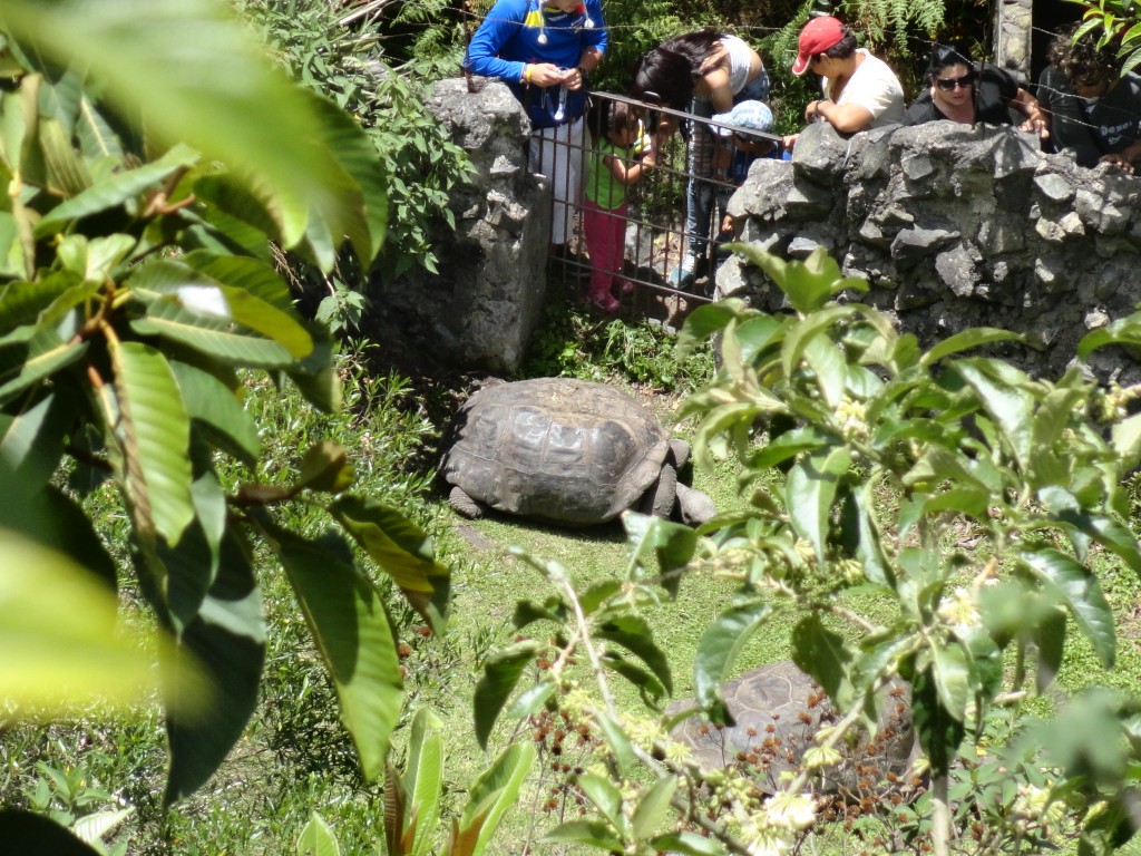 Foto: Galapago - Baños (Tungurahua), Ecuador