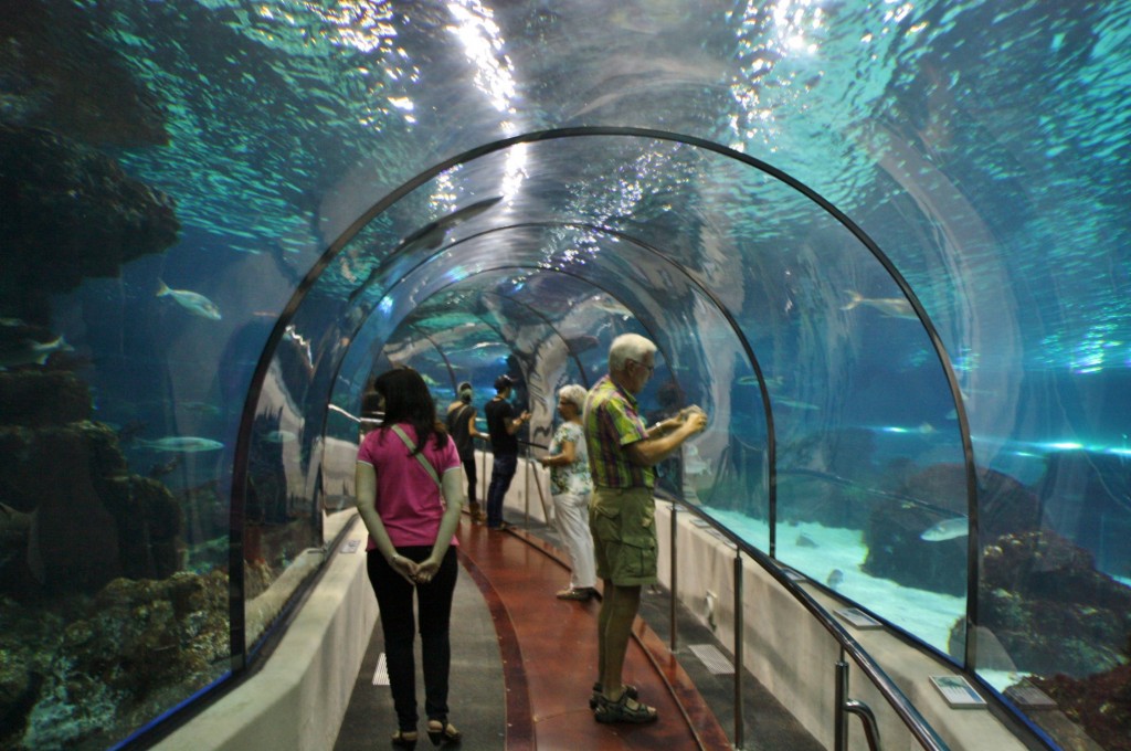 Foto: Acuario de Barcelona - Barcelona (Cataluña), España