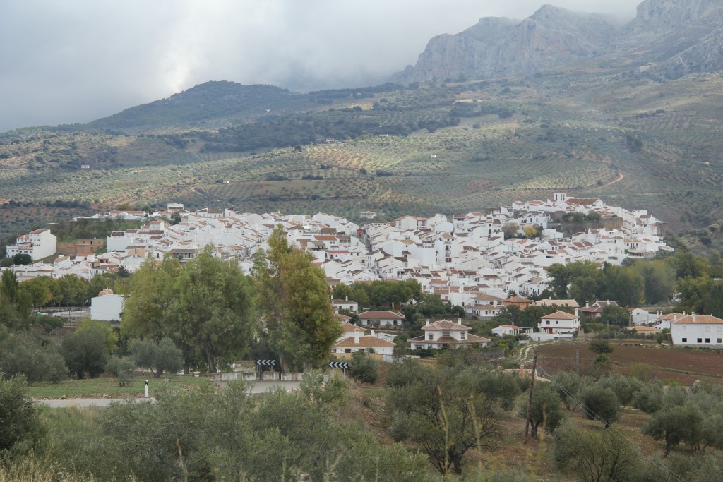 Foto de El Burgo (Málaga), España