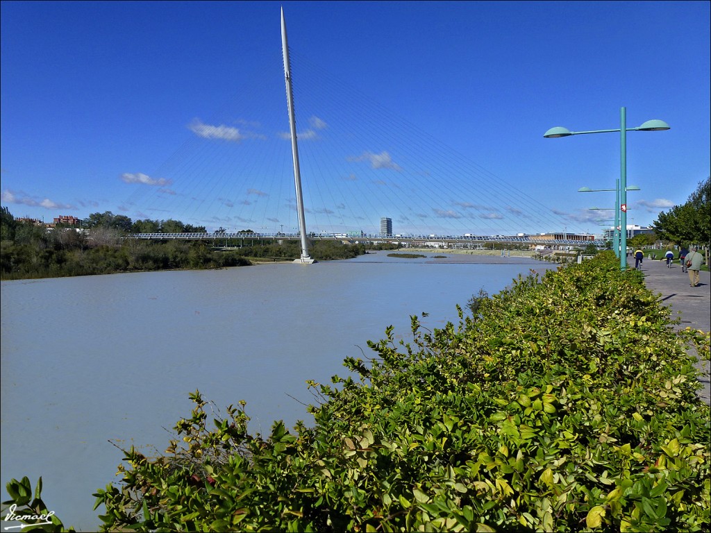 Foto: 121028-14 PASARELA DEL EBRO - Zaragoza (Aragón), España