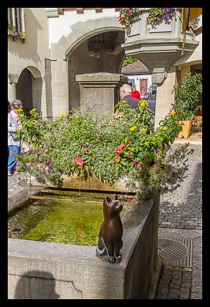 Foto de Stein am Rhein (Schaffhausen), Suiza