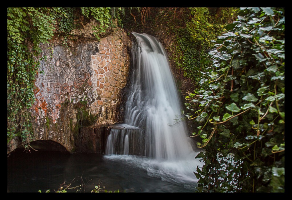 Foto de Cascadas del Rin (Schaffhausen), Suiza