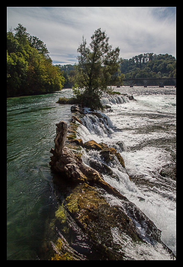 Foto de Cascadas del Rin (Schaffhausen), Suiza