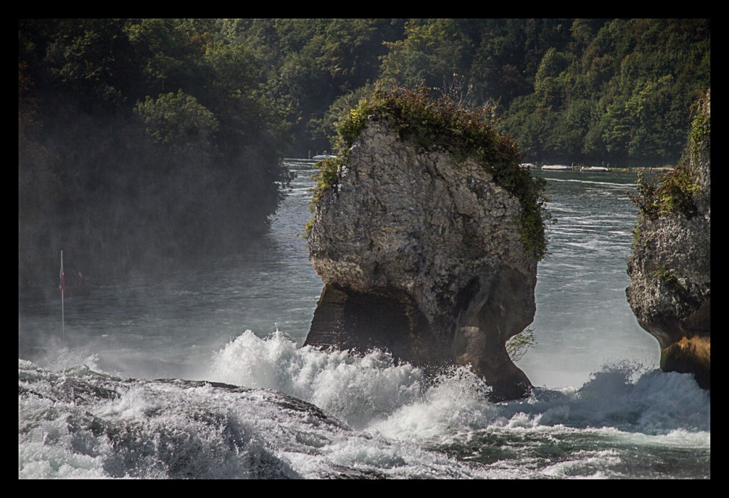 Foto de Cascadas del Rin (Schaffhausen), Suiza