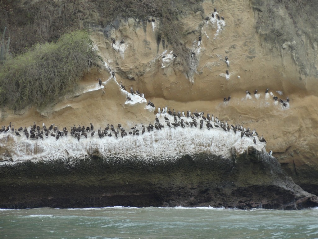 Foto: parecido auna ballena - Atacames (Esmeraldas), Ecuador