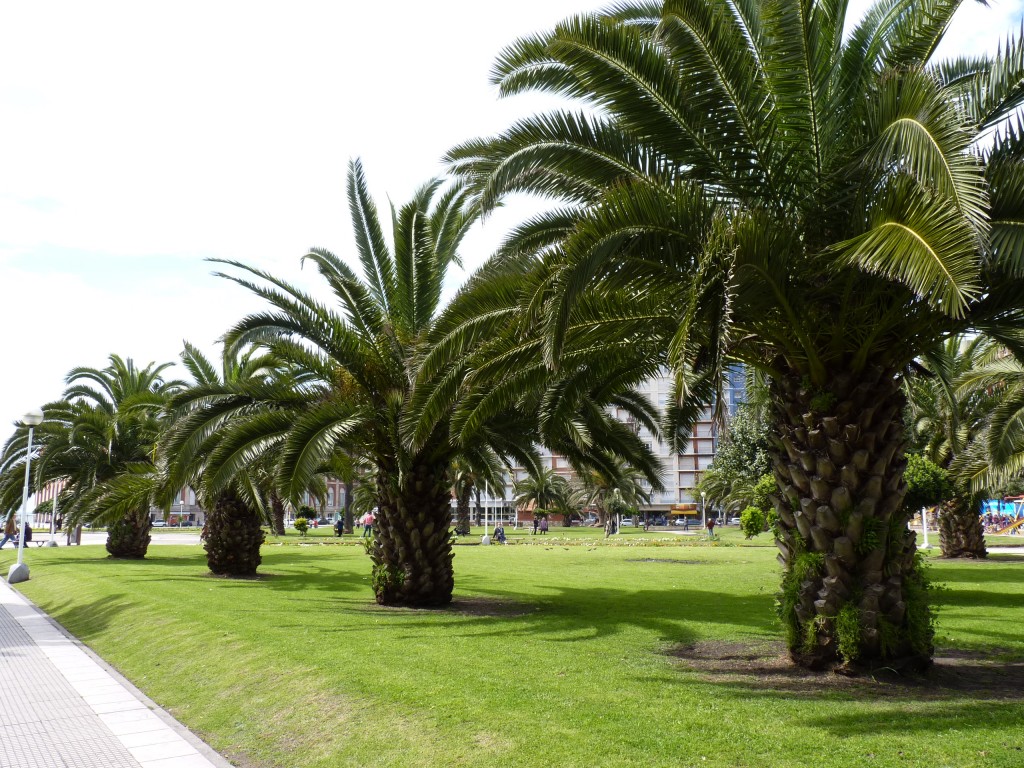 Foto: Plaza Colón - Mar del Plata (Buenos Aires), Argentina