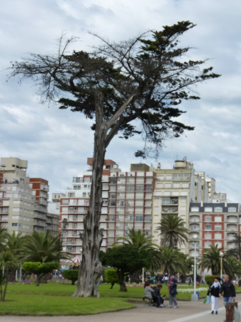 Foto: Plaza Colón - Mar del Plata (Buenos Aires), Argentina