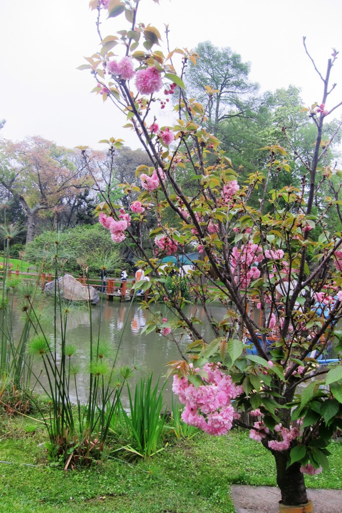 Foto: Jardín japonés - Ciudad Autónoma de Buenos Aires (Buenos Aires), Argentina