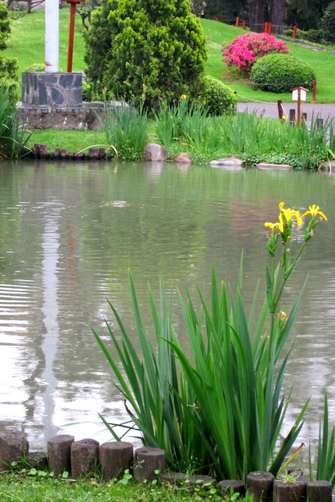 Foto: Jardín japonés - Ciudad Autónoma de Buenos Aires (Buenos Aires), Argentina