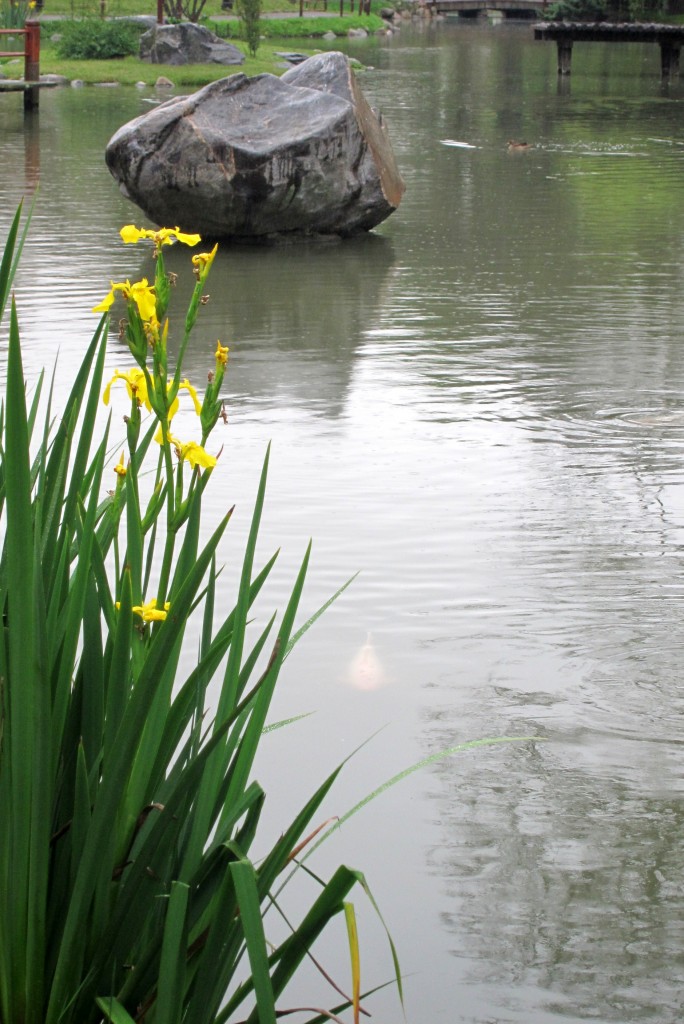 Foto: Jardín japonés - Ciudad Autónoma de Buenos Aires (Buenos Aires), Argentina