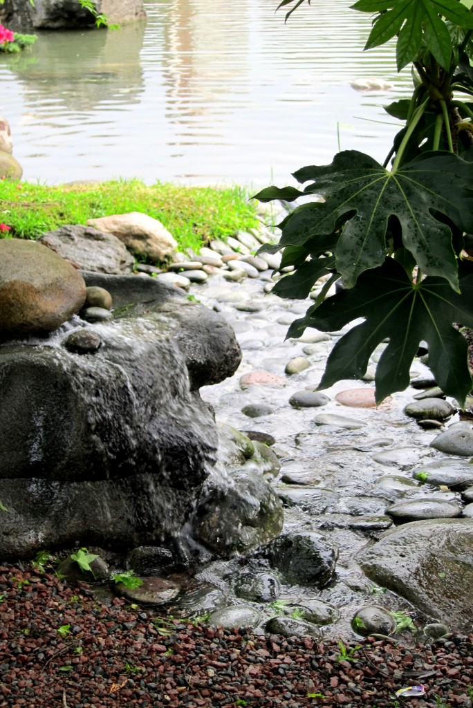 Foto: Jardín japonés - Ciudad Autónoma de Buenos Aires (Buenos Aires), Argentina