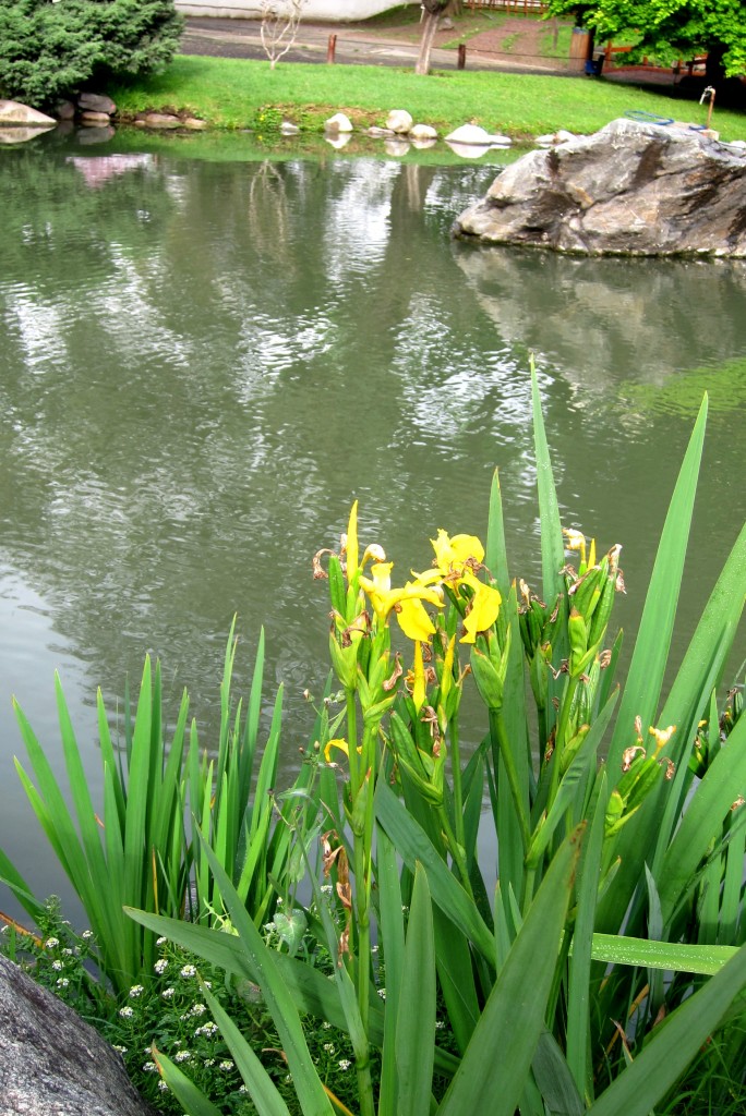 Foto: Jardín japonés - Ciudad Autónoma de Buenos Aires (Buenos Aires), Argentina