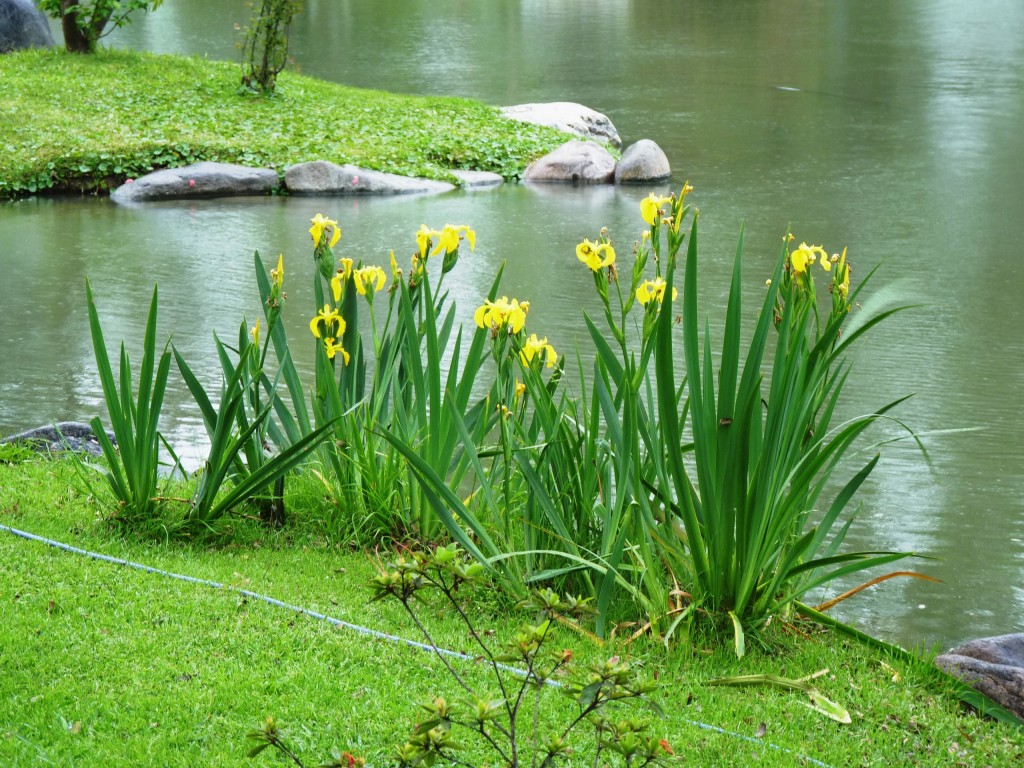 Foto: Jardín japonés - Ciudad Autónoma de Buenos Aires (Buenos Aires), Argentina