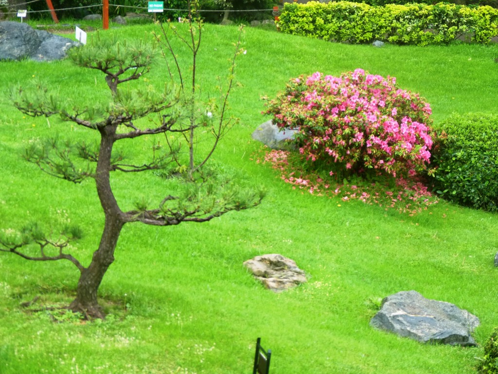 Foto: Jardín japonés - Ciudad Autónoma de Buenos Aires (Buenos Aires), Argentina