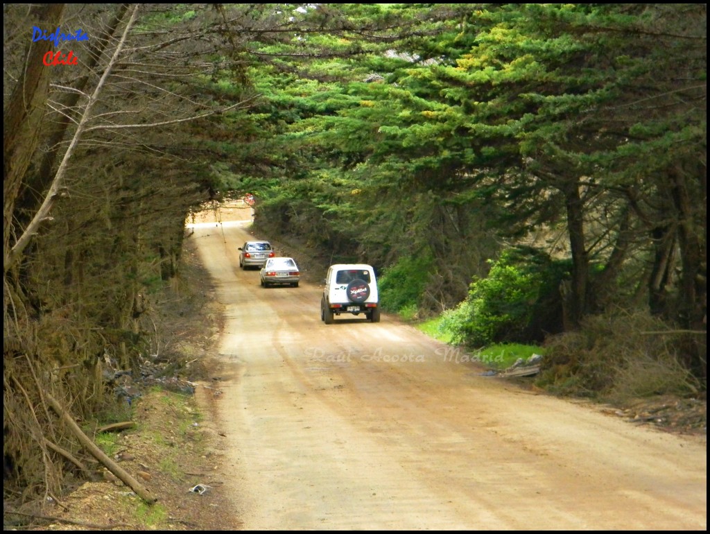 Foto: Camino rural - Pichilemu (Libertador General Bernardo OʼHiggins), Chile