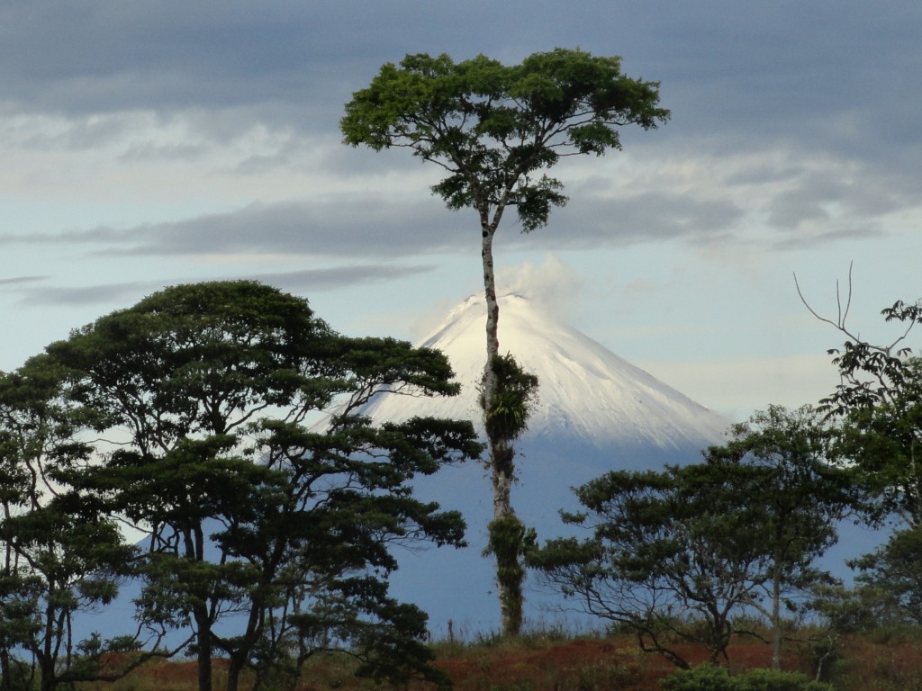 Foto: El Sangay - Simón Bolíva (Pastaza), Ecuador