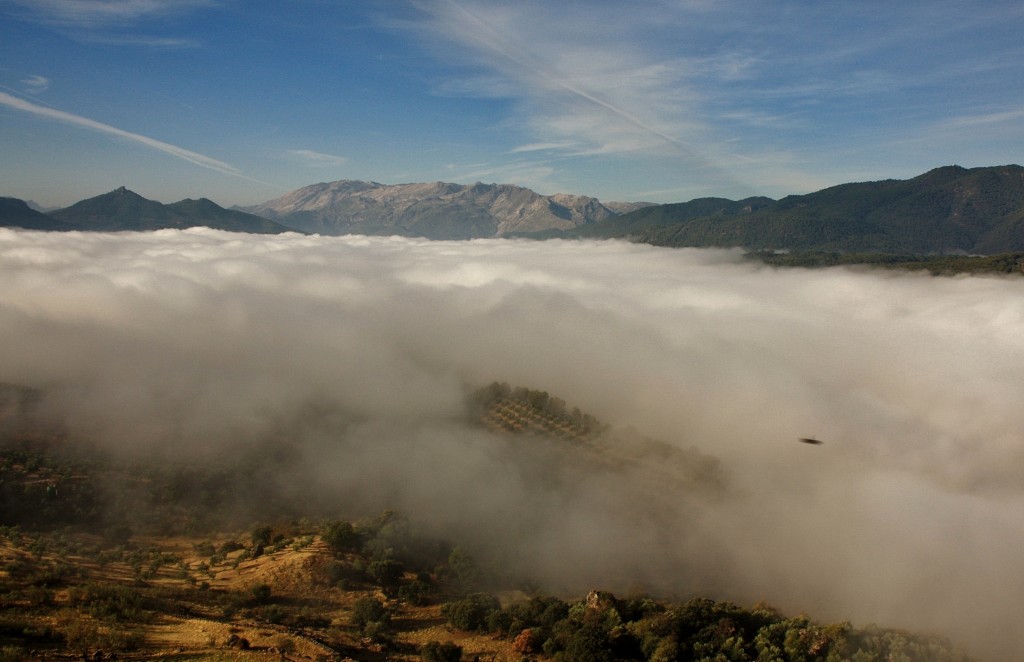 Foto: Mar de nubes - Hornos de Segura (Jaén), España