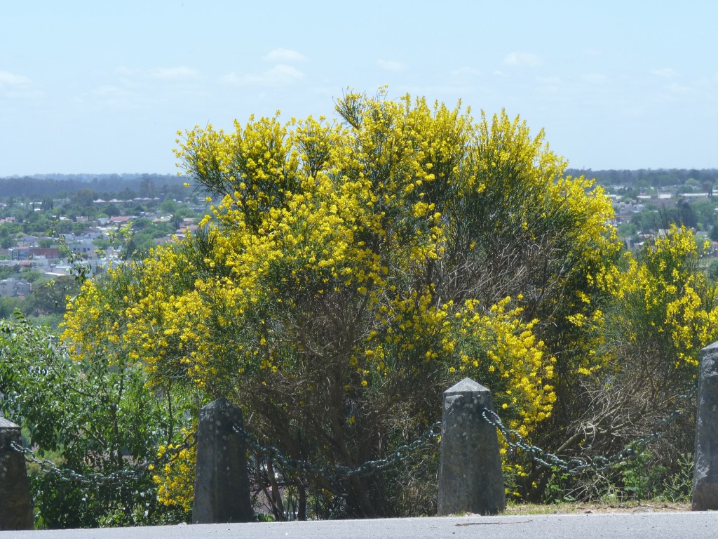 Foto: Parque Independencia, fuerte. - Tandil (Buenos Aires), Argentina