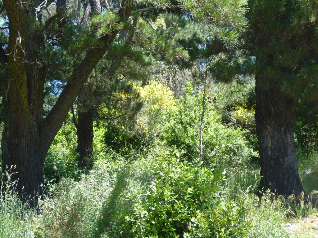 Foto: Fuerte del parque Independencia. - Tandil (Buenos Aires), Argentina