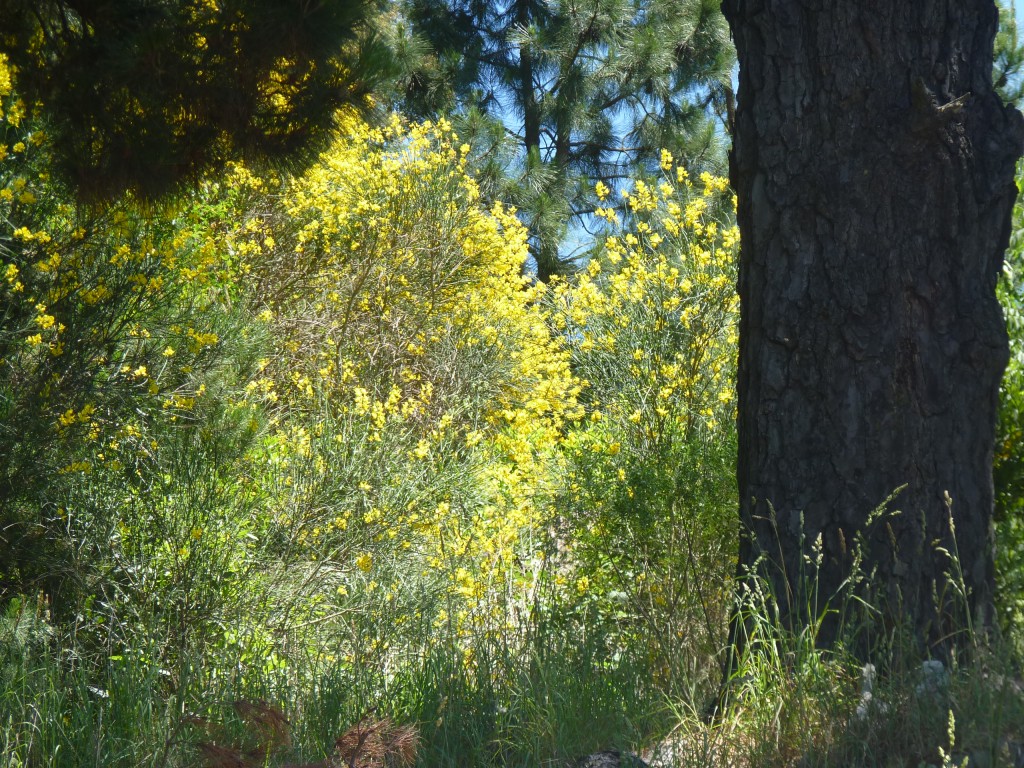 Foto: Fuerte del parque Independencia. - Tandil (Buenos Aires), Argentina