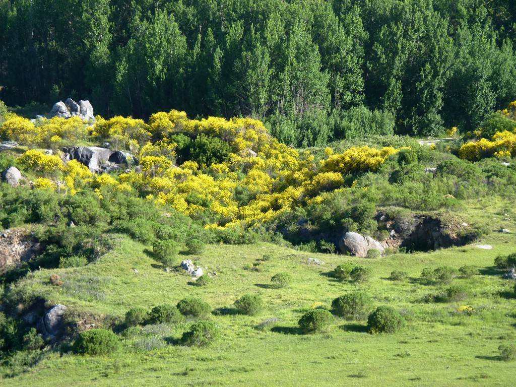 Foto: Cerro La Movediza - Tandil (Buenos Aires), Argentina