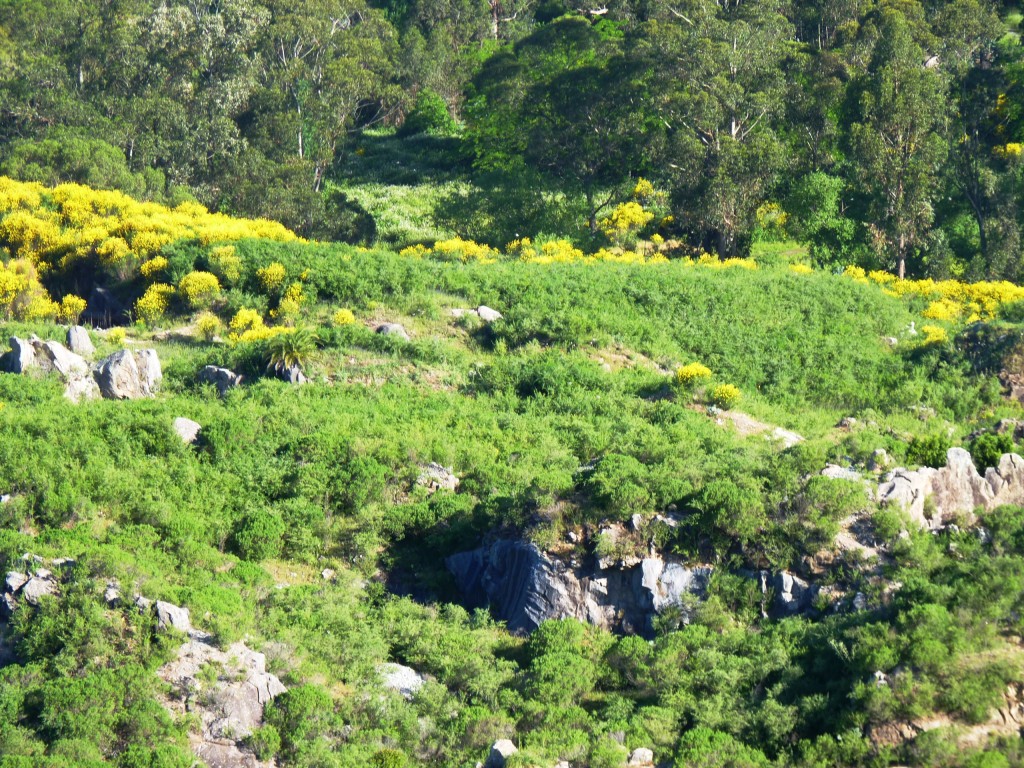 Foto: Cerro La Movediza - Tandil (Buenos Aires), Argentina