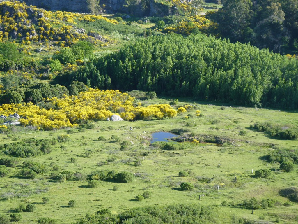 Foto: Cerro La Movediza - Tandil (Buenos Aires), Argentina