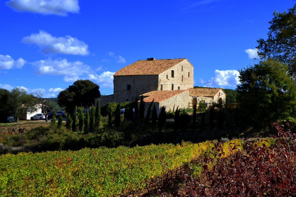 Foto: Garrofet - Querol (Tarragona), España