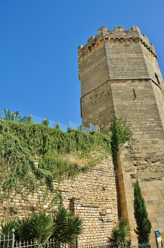 Foto: Torre Nueva del castillo - Porcuna (Jaén), España