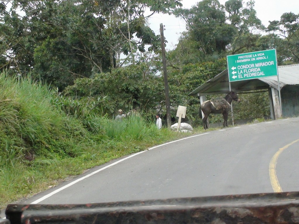 Foto: Balla publicitaria - Puyo (Pastaza), Ecuador