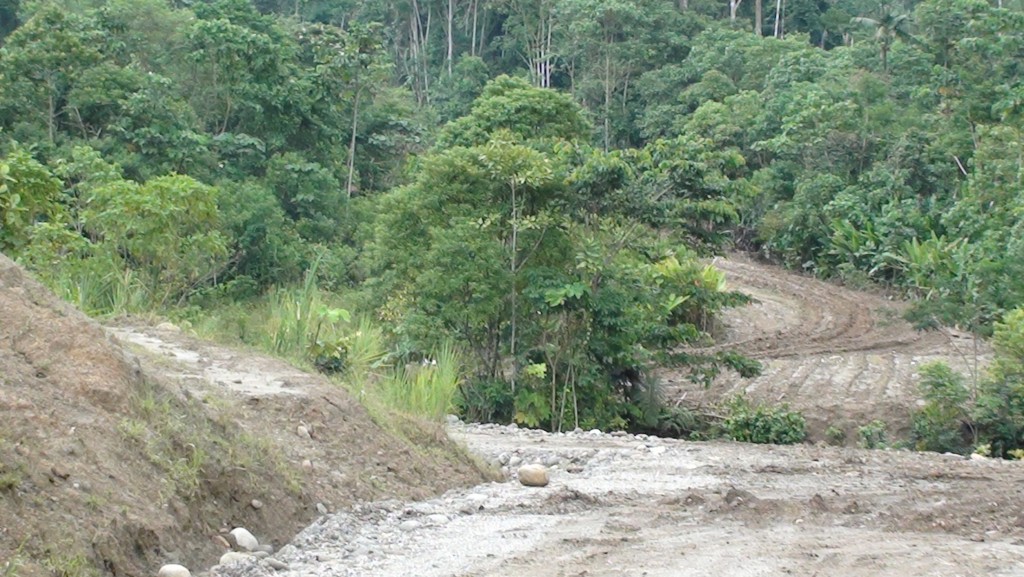 Foto: Carreteras lastradas - Puyo_Chuvitayo (Pastaza), Ecuador