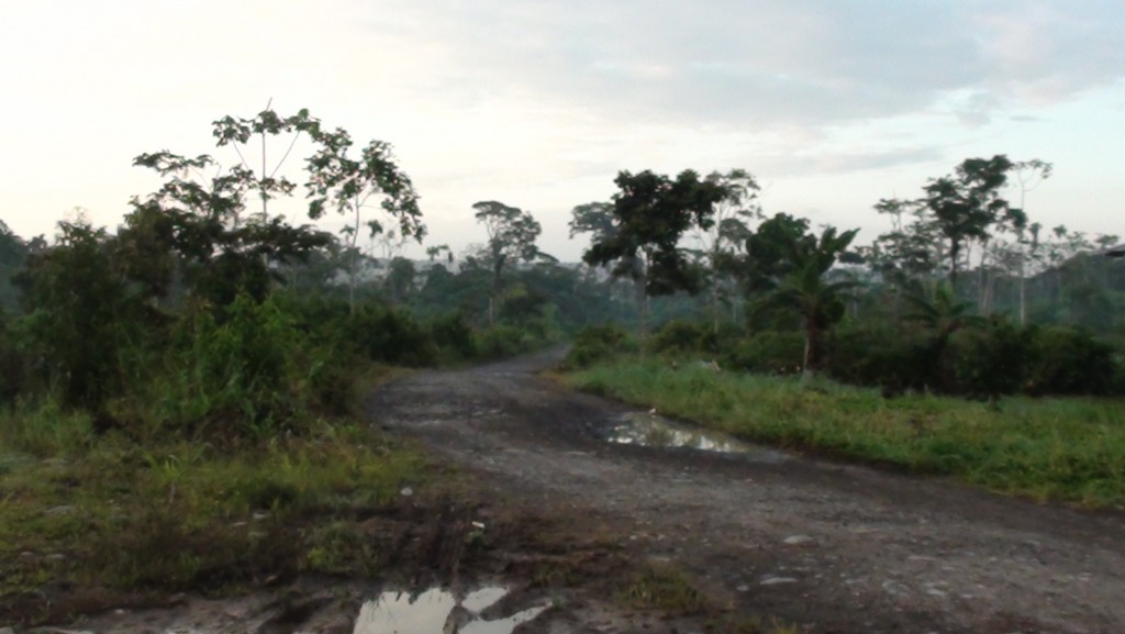 Foto: Carreteras lastradas - Puyo_Chuvitayo (Pastaza), Ecuador