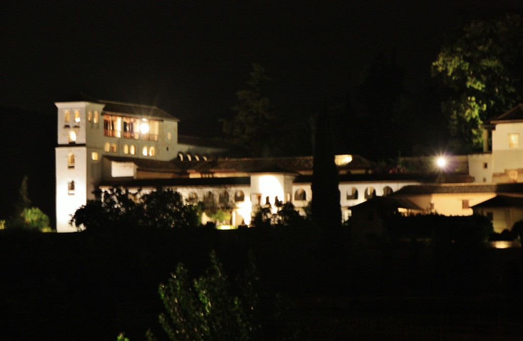 Foto: La Alhambra: visita nocturna - Granada (Andalucía), España