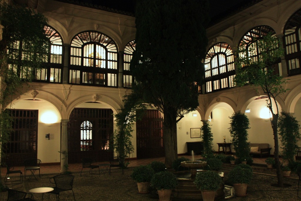 Foto: La Alhambra: visita nocturna - Granada (Andalucía), España