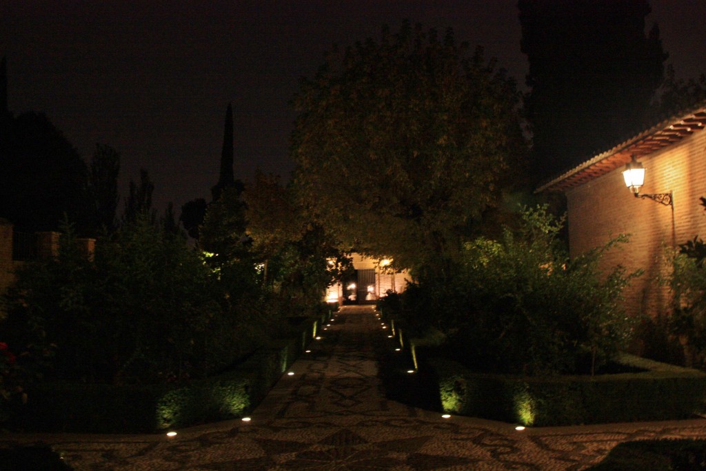 Foto: La Alhambra: visita nocturna - Granada (Andalucía), España