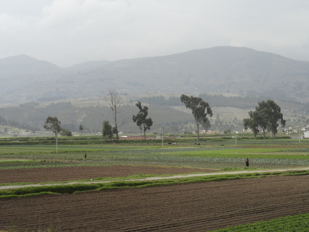 Foto: Paisaje - Colta (Chimborazo), Ecuador